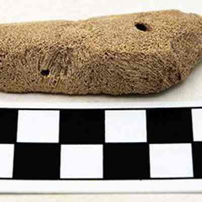 Coral abrader: The image shows a small, porous, brown artifact with several holes, placed above a black-and-white centimeter scale ruler for size reference.