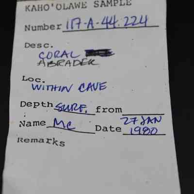 Artifact slip for coral abrader: Origformat: Other; Resolution: 200 dpi