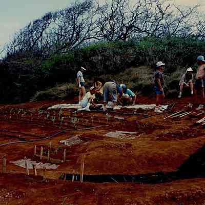 Ohana members planting kupu-Mauka II