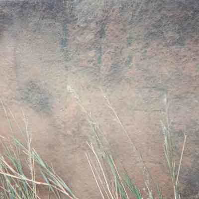 Faint petroglyph