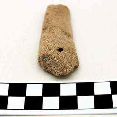 Coral abrader: The image shows a textured, brownish artifact with a small hole, placed beside a black-and-white checkered scale measuring in centimeters, suggesting archaeological significance