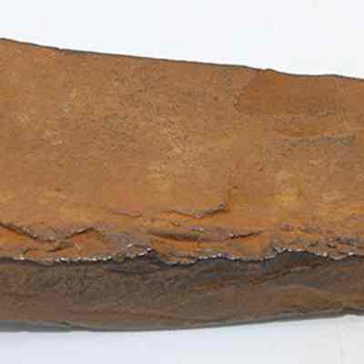 Unpolished side of basalt adze (ko'i) fragment: The image shows a brown, weathered adze (ko'i) fragment with a roughly rectangular shape and chipped edges, likely exhibiting signs of manual crafting or usage.
