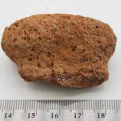 Small breadloaf sinker with a ruler: The image shows a rough, brown stone sinker with a slightly irregular shape, placed on a surface next to a ruler for size reference.