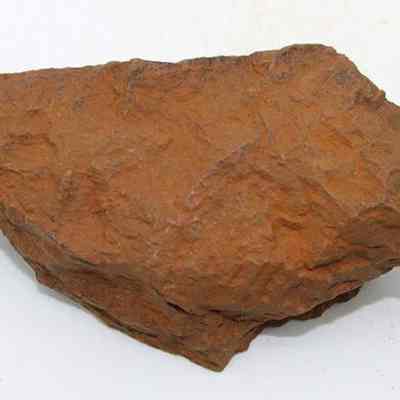 Adze (ko'i) flake: The image shows a rust-colored adze (ko'i) flake with rough, uneven edges and a textured surface, possibly used in ancient tool-making practices.