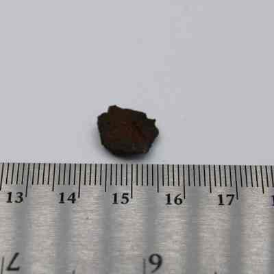 Tiny piece of basaltic glass with metal ruler: A small piece of basaltic glass is displayed above a ruler for scale.