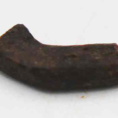 Fragment of a makau (fish hook): The image shows a small, irregularly shaped, dark brown fragment of a makau (fish hook) resting on a white surface.