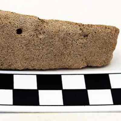 Bottom of coral abrader: The image shows a weathered brown artifact with a rough surface and a small drilled hole, placed beside a black-and-white checkered measuring scale.