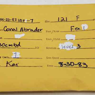 Envelope for coral abrader: The image shows a yellow archaeological artifact envelope detailing a specimen, labeled "Coral Abrader," at Site 121 F. Recorded by Kai on 8/30/93.