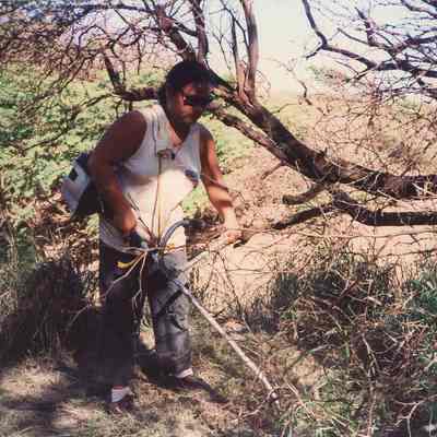 Man weed-eating brush