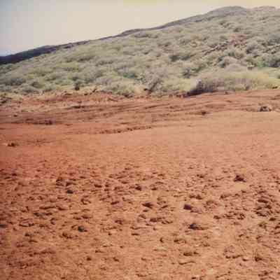 Hardpan terrain with hills in the background