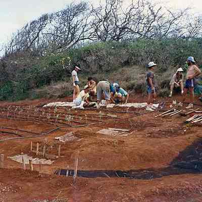 People placing erosion materials