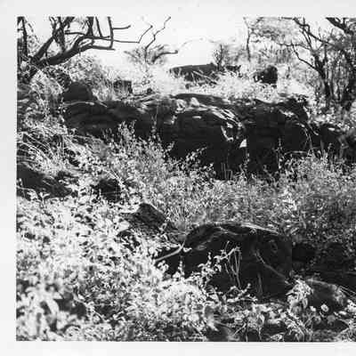 Site 106C #6