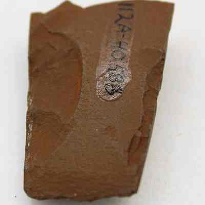 Lengthwise view of adze(ko'i) fragment with alternate id number visible: The image shows a fragment of an adze (ko'i) with a rough, brown surface, displaying catalog numbers written on it.