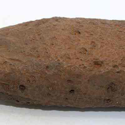 Profile of an adze preform: The image shows a rough, dark brown, irregularly shaped rock with a rugged texture.