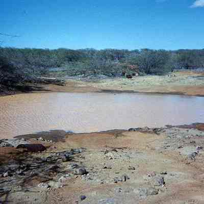 Pond