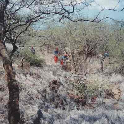 Area Prep team cutting brush at Seagull