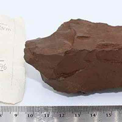 Profile of adze preform with artifact slip: Origsize: 12 cm (L) x 5 cm (W); Origformat: Artifact; Resolution: 200 dipi