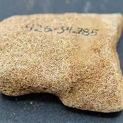 Close up of coral abrader with alternate id number visible: The image depicts a porous coral with a rectangular shape, resting on a dark surface, displaying the number "426-34785" written on its surface.