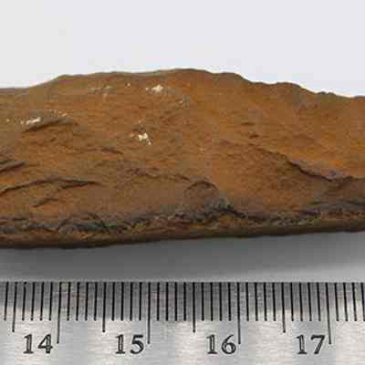 Quadrangular adze with ruler: A reddish-brown stone tool or artifact lies beside a measuring ruler, displaying a rough, uneven texture and an elongated shape.
