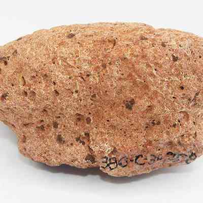 Profile of a breadloaf sinker with alternate id number visible: The image shows a textured, irregularly shaped stone, likely an ancient sinker, with visible surface markings and a rough, earthy appearance.