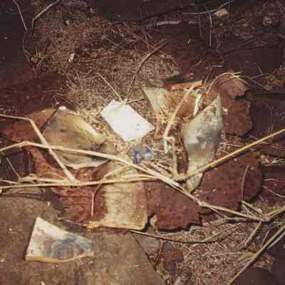 Oven and china remnants at Kuheia
