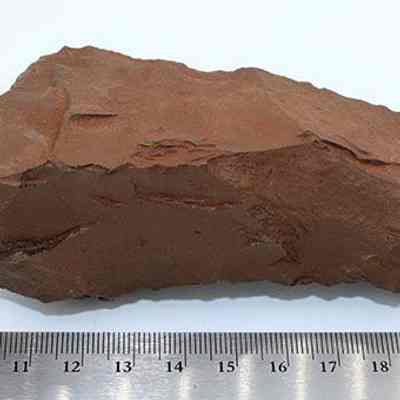 Top view of adze preform: Origsize: 12 cm (L) x 5 cm (W); Origformat: Artifact; Resolution: 200 dpi