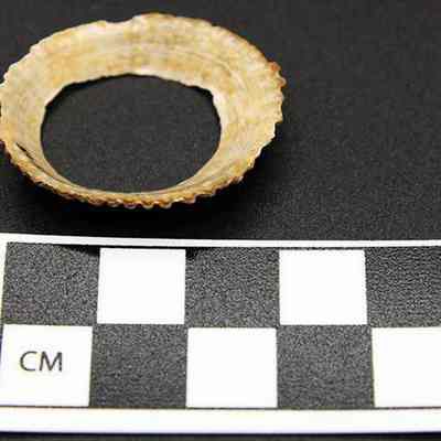 Underside of 'opihi scraper with scale: The image shows the underside of a circular shell fragment placed next to a black and white checkered measurement scale marked in centimeters on a dark background.