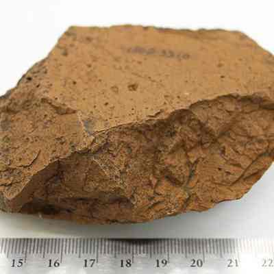 Grindstone with ruler: The image shows a rough, irregularly shaped grinding stone resting on a white surface, with a ruler beneath indicating its size.