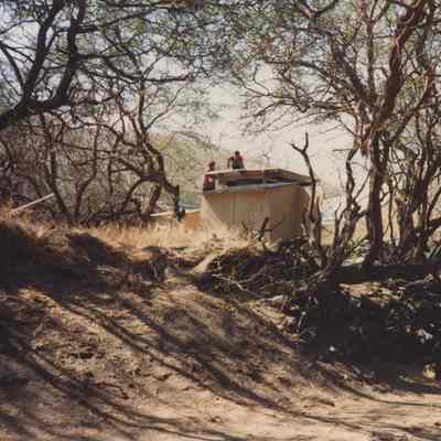 Shelter in trees