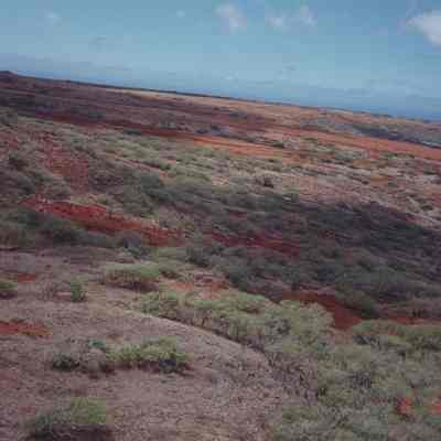 Aerial-Puumoiwi area