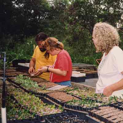 People examining seedlings