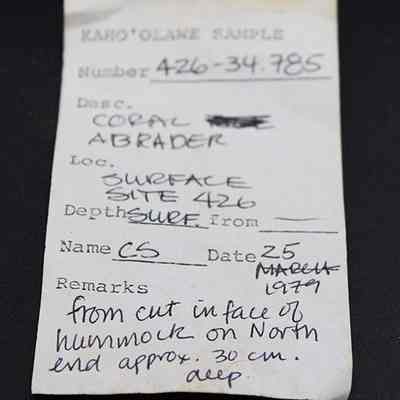 2015.006.2415_slip: The image shows a sample label with the number "426-34.785" detailing a coral abrader from "Surface Site 426," collected on 25 March 1979.