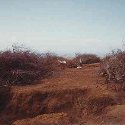 Luamakika-aluminum debris