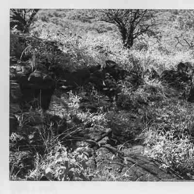 Site 106C #7