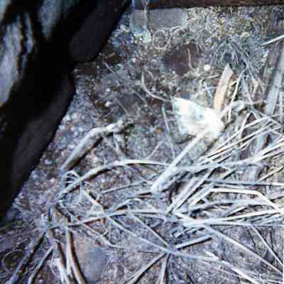 Closeup of pocelain shards