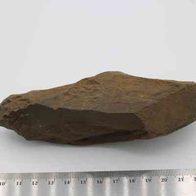 Profile of adze blank and ruler: An adze blank is placed on a flat surface next to a ruler, showing its size.