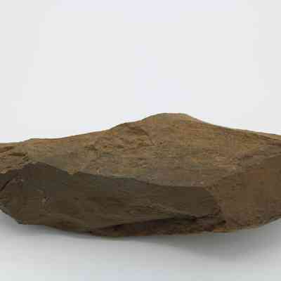 Closeup profile of adze blank: The image shows an adze blank, a roughly shaped stone tool precursor, laying on a white surface.