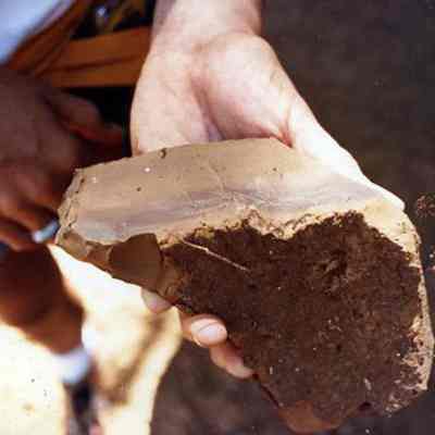 Soil Profile