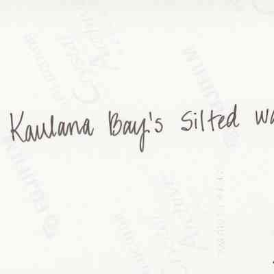 Back of photo (object # 2010.001.364): The image displays a piece of paper with handwritten text, "Kaulana Bay's Silted water," written in cursive ink, set against a white background with the textual imprint “Crystal Archive” repeating across the surface.