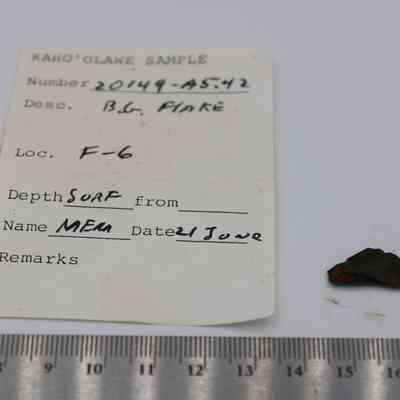 Basaltic glass flake, artifact slip and metal ruler: This image shows a small basaltic glass flake next to a labeled sample card form with a measuring ruler for scale.