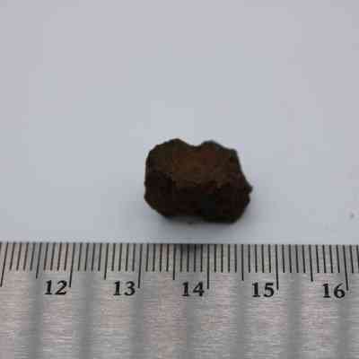 Closeup of glass core with ruler: The image shows a small, dark basaltic glass core placed beside a ruler for scale measurement.