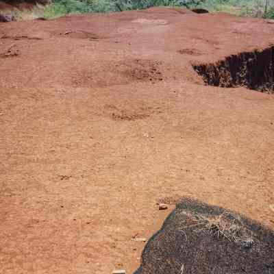 Hardpan terrain