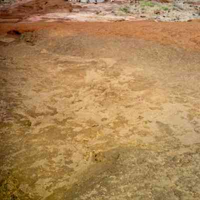 Hardpan terrain