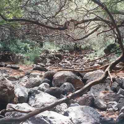Hakioawa Stream upstream