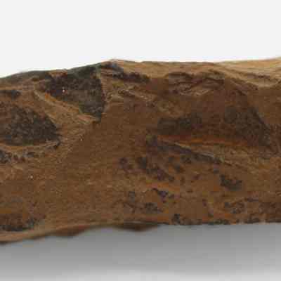 Closeup profile of quadrangular adze: The image displays a brown, rough-textured stone tool or artifact with distinct edges and dark markings.