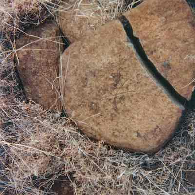 Pu‘umōiwi petroglyph