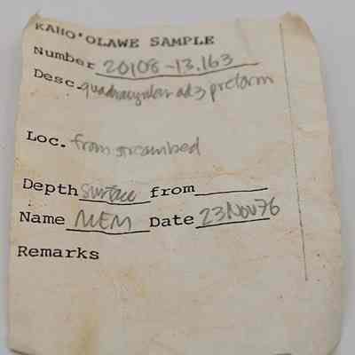 Artifact slip for adze preform: Origformat: Other; Resolution: 200 dpi