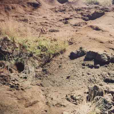 Hardpan terrain