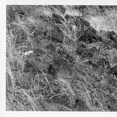 Site 647A #6