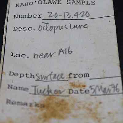Artifact slip of octopus lure: The image shows a worn label titled "KAHO'OLAWE SAMPLE" with entries for sample number, description as "octopus lure," and location.